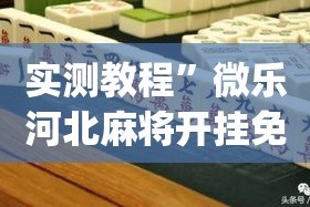 实测教程”微乐河北麻将开挂免费下载”(作弊)辅助透视教程