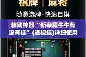 辅助神器“新荣耀牛牛有没有挂”(透视挂)详细使用教程