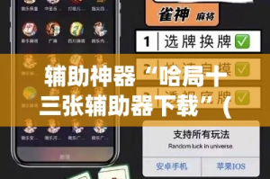 辅助神器“哈局十三张辅助器下载”(透视挂)详细使用教程