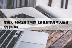 孝感大悟最新疫情防控（湖北省孝感市大悟县今日新闻）