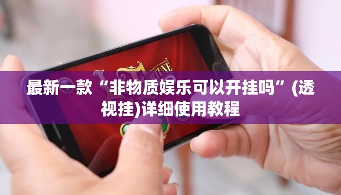 最新一款“非物质娱乐可以开挂吗”(透视挂)详细使用教程