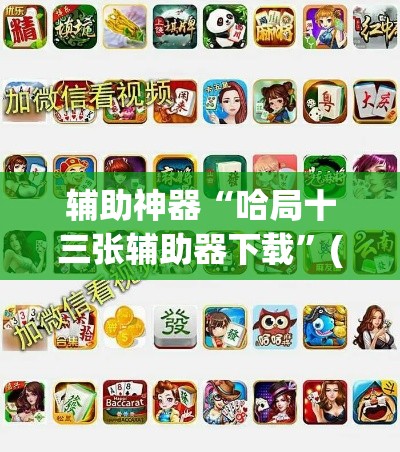 辅助神器“哈局十三张辅助器下载”(透视挂)详细使用教程