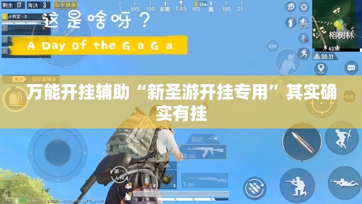 万能开挂辅助“新圣游开挂专用	”其实确实有挂