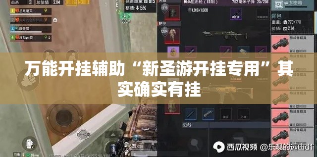 万能开挂辅助“新圣游开挂专用”其实确实有挂