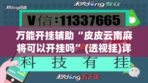 万能开挂辅助“皮皮云南麻将可以开挂吗	”(透视挂)详细使用教程