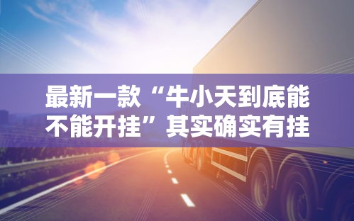 最新一款“牛小天到底能不能开挂”其实确实有挂
