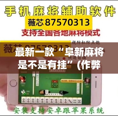 最新一款“阜新麻将是不是有挂”(作弊)辅助透视教程