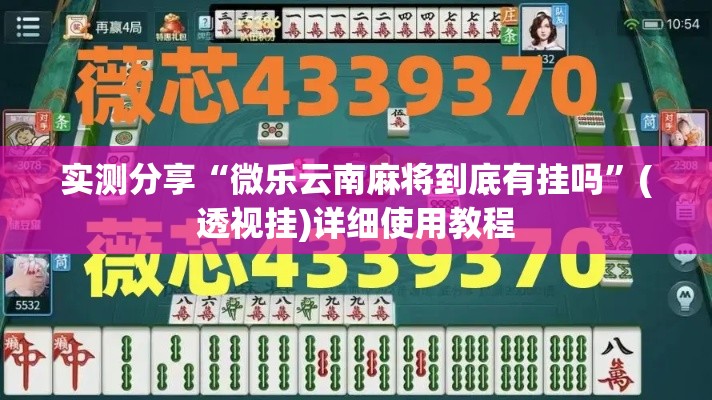 实测分享“微乐云南麻将到底有挂吗	”(透视挂)详细使用教程