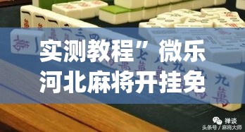 实测教程	”微乐河北麻将开挂免费下载”(作弊)辅助透视教程
